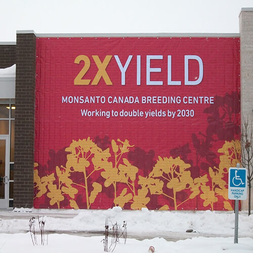 Winnipeg Signage - Monsanto